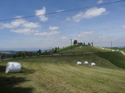 DSC01381