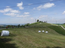 DSC01382
