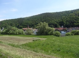 DSC01338