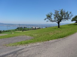 DSC01469